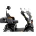 DJD-4-Rad-roller Elektrisch Senioren 1000 W 12/25 km/h All-Terrain-Reifen Schwarz