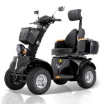 DJD-4-Rad-roller Elektrisch Senioren 1000 W 12/25 km/h All-Terrain-Reifen Schwarz